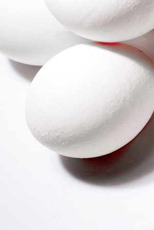 big white eggs over white background