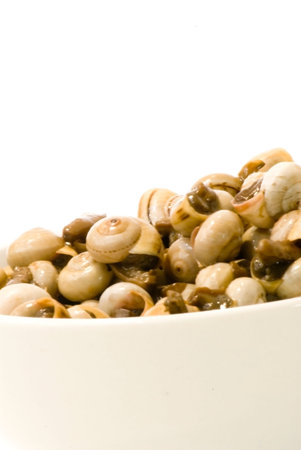 Bowl of snails in garlic, typical plate of Spain and France, on white background