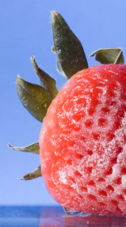Frozen strawberries with ice on mirror surfaceの写真素材