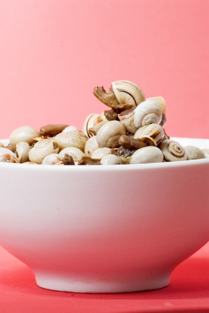 Bowl of snails in garlic, typical plate of Spain and France, on red backgroundの写真素材