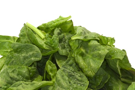 Fresh green leaves spinach on a white background - Stock Imageの写真素材