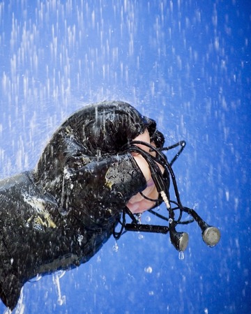 Gloved fist holding headphones to that raindrops fall like rain on blue background の写真素材