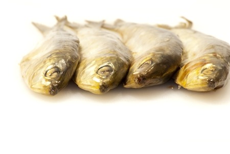 Closeup Fresh sardines on white background の写真素材