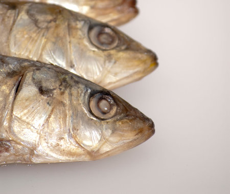 Fresh sardines with parsley leaves on white 