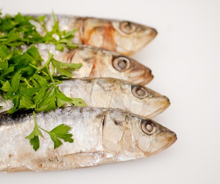 Fresh sardines with parsley leaves on white の写真素材