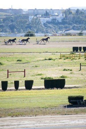 Horse Racing cars called Trottersのeditorial素材
