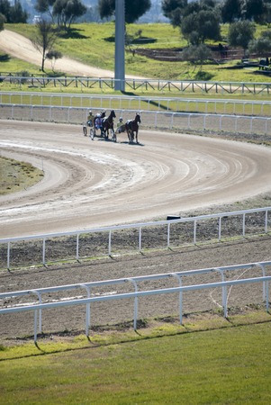 Horse Racing cars called Trottersのeditorial素材