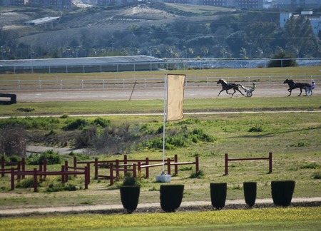 SEVILLE SPAIN - JANUARY 24: Horse Racing cars called Trotters on 24 January, in Seville, Andalucia, Spainのeditorial素材