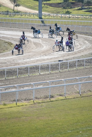 SEVILLE SPAIN - JANUARY 24: Horse Racing cars called Trotters on 24 January, in Seville, Andalucia, Spainのeditorial素材