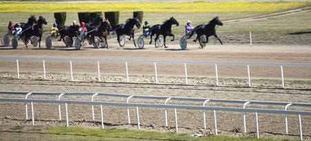 SEVILLE SPAIN - JANUARY 24: Horse Racing cars called Trotters on 24 January, in Seville, Andalucia, Spainのeditorial素材
