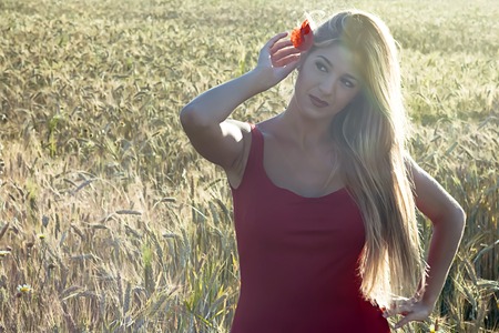 Beautiful blond woman in a wheat field at sunset  backlitの写真素材