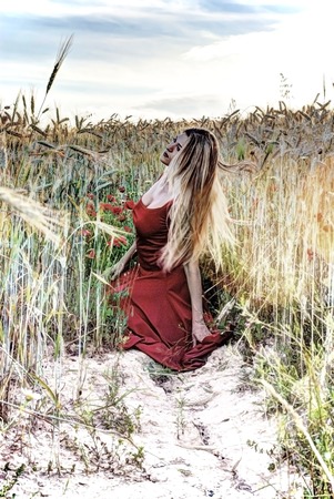Beautiful blond woman in a wheat field with poppies at sunset  backlitの写真素材