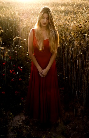 Beautiful blond woman in a wheat field at sunset  backlitの写真素材