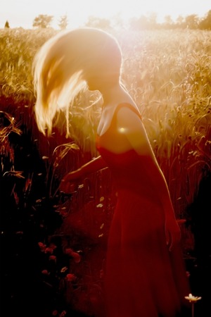 Beautiful blond woman in a wheat field at sunset  backlitの写真素材