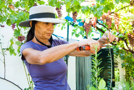 Mature woman with hat making work gardening in her garden