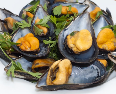 Mussels with parsley on white plateの写真素材