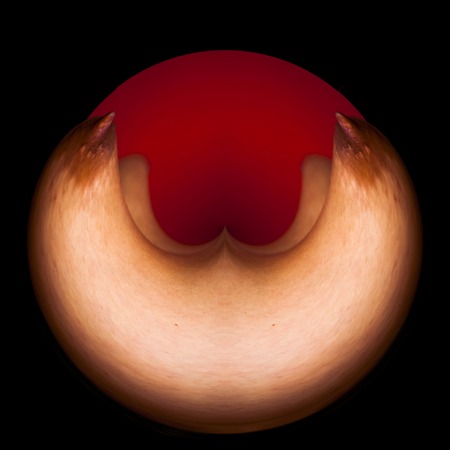 Abstract fantasy about the body of a   womanの写真素材