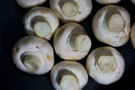 Lot of tasty mushrooms on black backgroundの写真素材