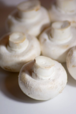 Lot of tasty mushrooms on white backgroundの写真素材