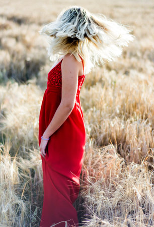 Beautiful blond woman in a red dress, on a wheat field at sunsetの写真素材