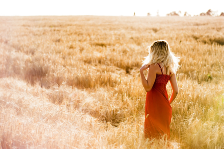 Beautiful blond woman in a red dress, on a wheat field at sunsetの写真素材