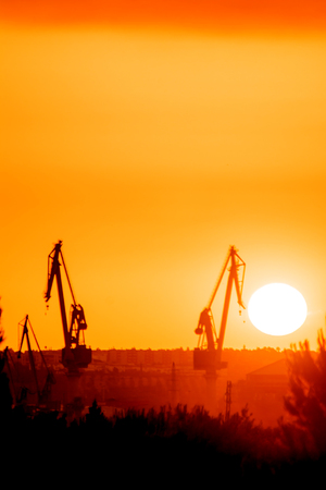 Landscape of a cranes in a harbor at sunset with cloudsの写真素材