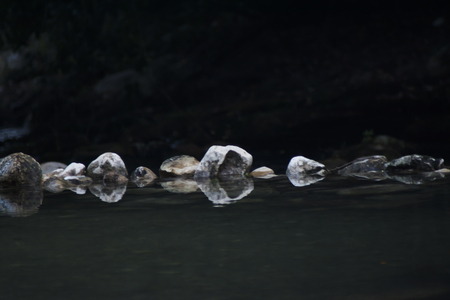 Landscape of a river with water, rocks and treesの写真素材