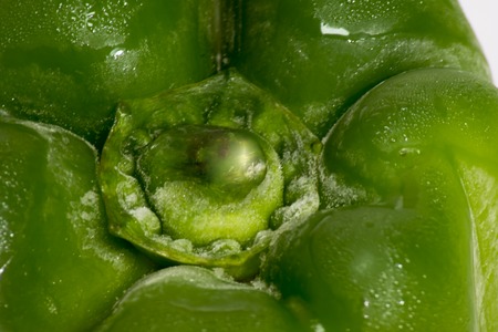Green bell pepper isolated on white backgroundの写真素材