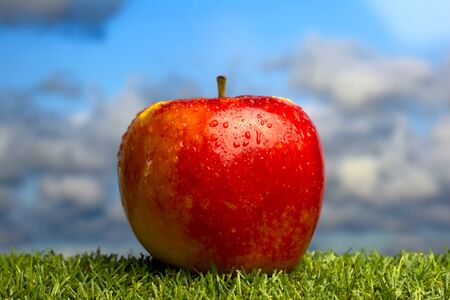Apple on green grass and with blue sky backgroundの写真素材