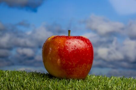 Apple on green grass and with blue sky backgroundの写真素材