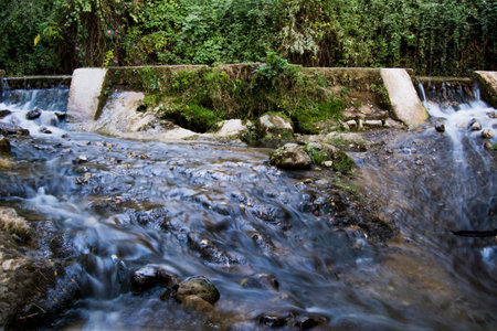 Landscape of a river in summer