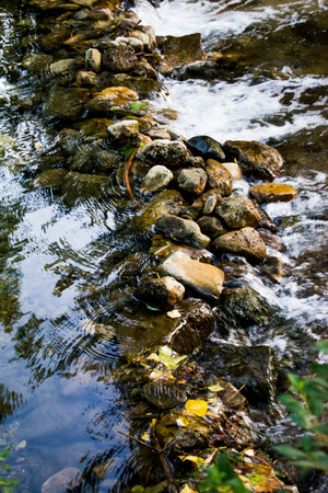 Landscape of a river in summer