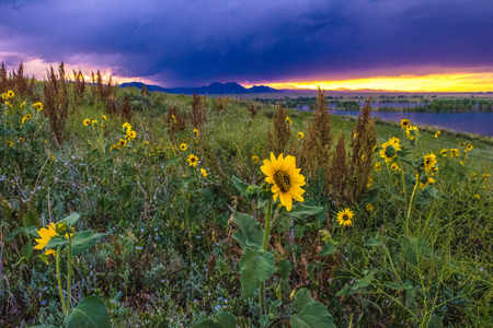 Sunset in Boulder, Coloradoの写真素材