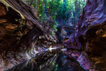 Subway in Arizonaの写真素材