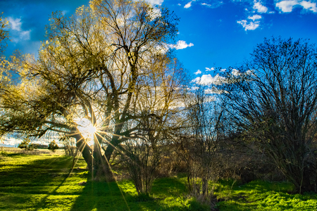 Sunset in Bozeman, Montanaの写真素材