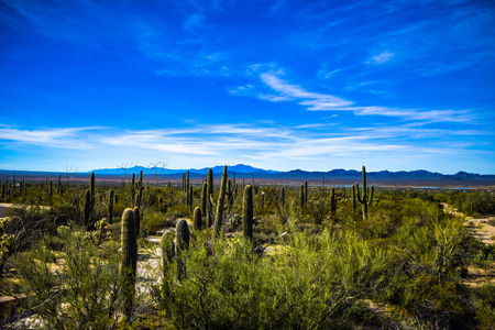 Sunrise in Arizonaの写真素材