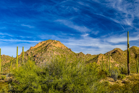 Sunrise in Arizonaの写真素材