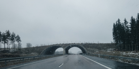 Early spring day with some snow starting to fall dawn on the roadの写真素材