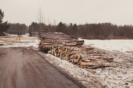 Timber from the forrest waiting for transport on aの写真素材