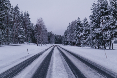 Snow on road and treesの写真素材