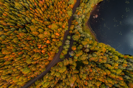 Aerial view from LiesjÃ¤rvi National Park on an autumn afternoon with sun starting to go down,...