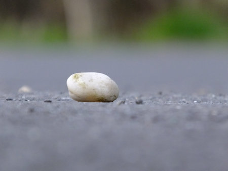 white stone on the roadの写真素材