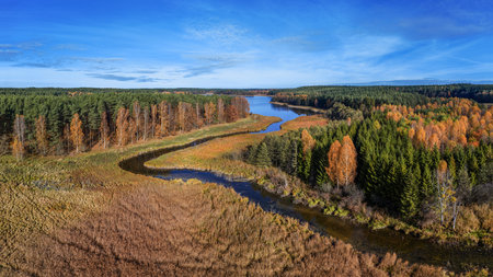 Aerial view of the autumn forest with a small river in Polandの写真素材