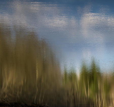trees reflecting in water with cloudy blue skyの写真素材