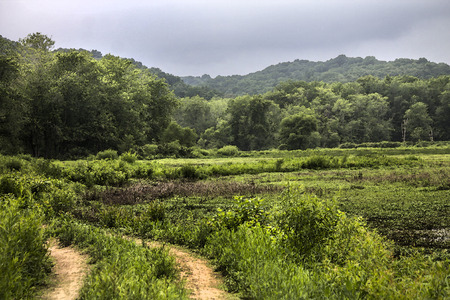 Country lane by meadow and woodsの写真素材