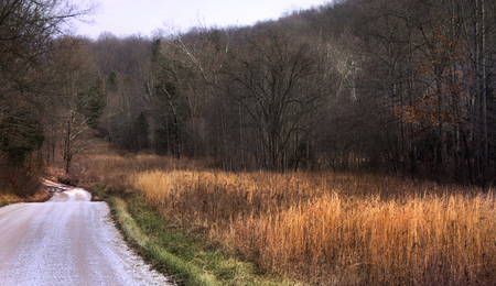 Country roadの写真素材