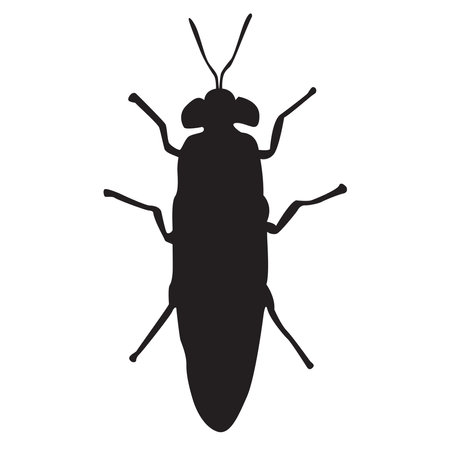 Black Solder Fly larvae asset vector illustrationのイラスト素材