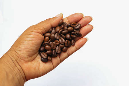 Coffee seed on hand on white backgroundの写真素材
