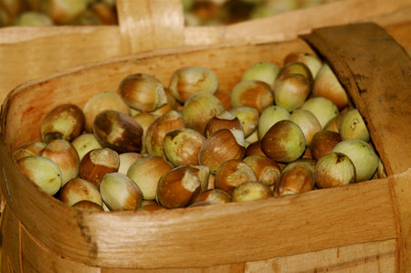 The busket full of hazelnuts