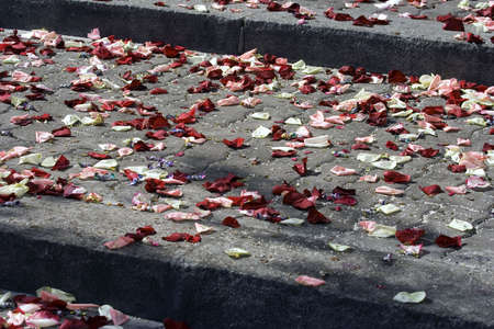 Stair full of rose petals after weddingの写真素材